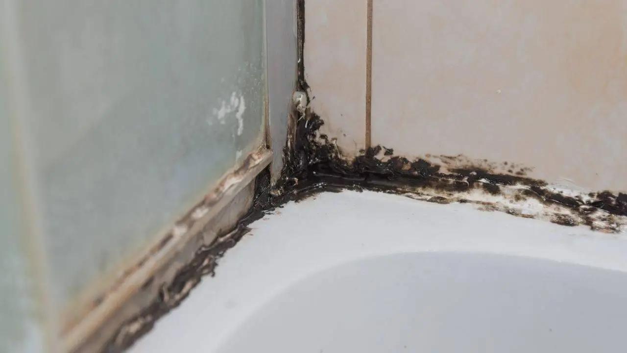 Bagno brillante senza fatica: ecco il trucco dell’esperto per una doccia come nuova Immagine selezionata