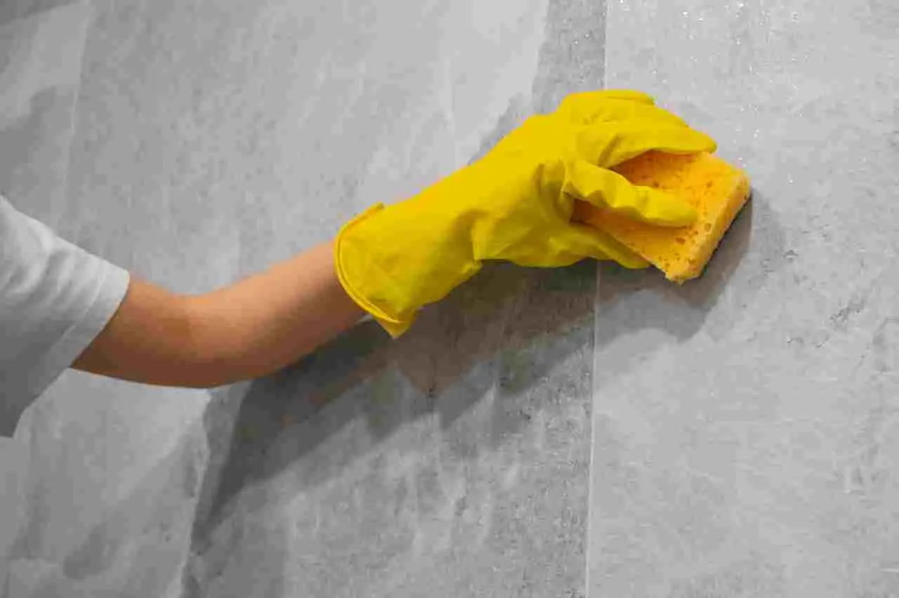 Bagno brillante senza fatica: ecco il trucco dell’esperto per una doccia come nuova Immagine selezionata