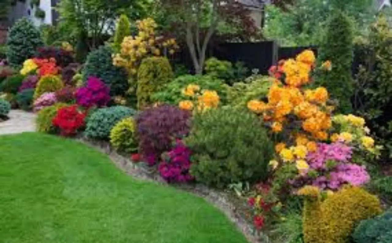 Hai trovato qualcosa di strano in giardino? Ecco perché potresti dover intervenire subito! Immagine selezionata